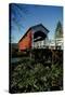 Currin Covered Bridge-Ike Leahy-Stretched Canvas