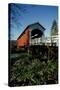 Currin Covered Bridge-Ike Leahy-Stretched Canvas