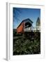 Currin Covered Bridge-Ike Leahy-Framed Photographic Print