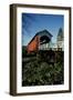 Currin Covered Bridge-Ike Leahy-Framed Premium Photographic Print