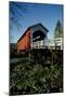 Currin Covered Bridge-Ike Leahy-Mounted Premium Photographic Print