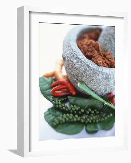 Curry Paste in a Mortar and Assorted Spices-Peter Medilek-Framed Photographic Print