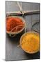 Curry Powder and Chilli Powder in Scale Pans-Eising Studio - Food Photo and Video-Mounted Photographic Print