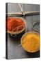 Curry Powder and Chilli Powder in Scale Pans-Eising Studio - Food Photo and Video-Stretched Canvas