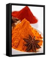 Curry Powder and Paprika, Star Anise-null-Framed Stretched Canvas