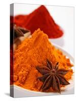Curry Powder and Paprika, Star Anise-null-Stretched Canvas