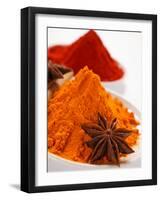 Curry Powder and Paprika, Star Anise-null-Framed Photographic Print