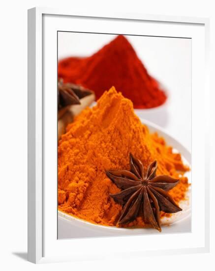 Curry Powder and Paprika, Star Anise-null-Framed Photographic Print