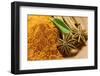 Curry Powder, Star Anise and Cinnamon Sticks-Foodcollection-Framed Photographic Print