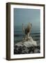 Curse the sea, 2016-Elinleticia H?gabo-Framed Giclee Print