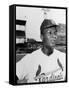 Curt Flood (1938-)-null-Framed Stretched Canvas