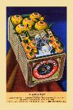 Indian Rocks Full De Luxe Box-Curt Teich & Company-Art Print