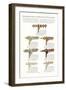 Curtain Hardware Catalog-null-Framed Art Print