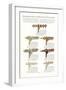 Curtain Hardware Catalog-null-Framed Art Print