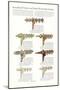 Curtain Hardware Catalog-null-Mounted Art Print