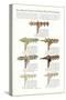 Curtain Hardware Catalog-null-Stretched Canvas
