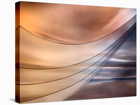 Curtain-Ursula Abresch-Stretched Canvas