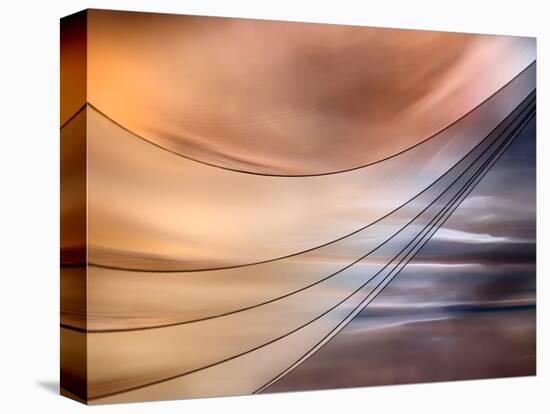 Curtain-Ursula Abresch-Stretched Canvas