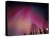 Curtains of Colorful Northern Lights Above Fairbanks, Alaska, USA-Hugh Rose-Stretched Canvas