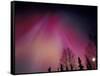 Curtains of Colorful Northern Lights Above Fairbanks, Alaska, USA-Hugh Rose-Framed Stretched Canvas