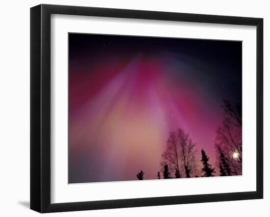 Curtains of Colorful Northern Lights Above Fairbanks, Alaska, USA-Hugh Rose-Framed Premium Photographic Print