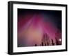 Curtains of Colorful Northern Lights Above Fairbanks, Alaska, USA-Hugh Rose-Framed Premium Photographic Print