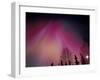 Curtains of Colorful Northern Lights Above Fairbanks, Alaska, USA-Hugh Rose-Framed Premium Photographic Print