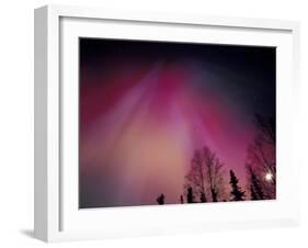 Curtains of Colorful Northern Lights Above Fairbanks, Alaska, USA-Hugh Rose-Framed Premium Photographic Print