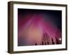 Curtains of Colorful Northern Lights Above Fairbanks, Alaska, USA-Hugh Rose-Framed Photographic Print