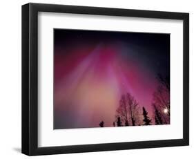 Curtains of Colorful Northern Lights Above Fairbanks, Alaska, USA-Hugh Rose-Framed Photographic Print