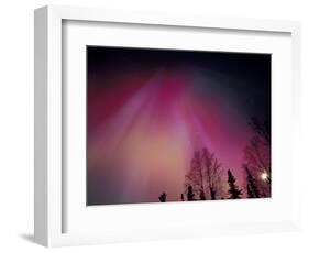 Curtains of Colorful Northern Lights Above Fairbanks, Alaska, USA-Hugh Rose-Framed Photographic Print