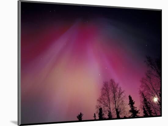 Curtains of Colorful Northern Lights Above Fairbanks, Alaska, USA-Hugh Rose-Mounted Photographic Print