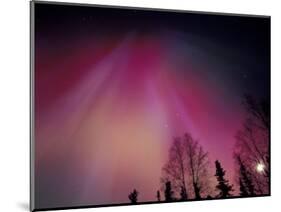 Curtains of Colorful Northern Lights Above Fairbanks, Alaska, USA-Hugh Rose-Mounted Photographic Print