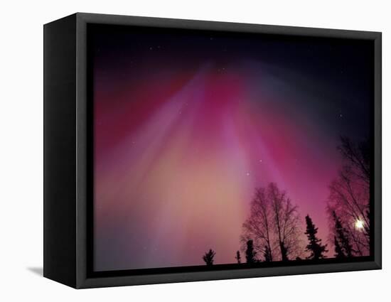 Curtains of Colorful Northern Lights Above Fairbanks, Alaska, USA-Hugh Rose-Framed Stretched Canvas