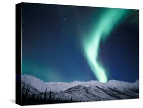 Curtains of Green Northern Lights Above the Brooks Range, Alaska, USA-Hugh Rose-Stretched Canvas