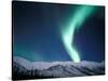 Curtains of Green Northern Lights Above the Brooks Range, Alaska, USA-Hugh Rose-Stretched Canvas
