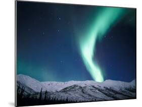 Curtains of Green Northern Lights Above the Brooks Range, Alaska, USA-Hugh Rose-Mounted Premium Photographic Print