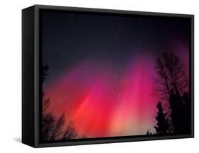 Curtains of Northern Lights above Fairbanks, Alaska, USA-Hugh Rose-Framed Stretched Canvas