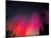 Curtains of Northern Lights above Fairbanks, Alaska, USA-Hugh Rose-Mounted Premium Photographic Print