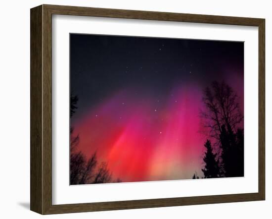 Curtains of Northern Lights above Fairbanks, Alaska, USA-Hugh Rose-Framed Photographic Print