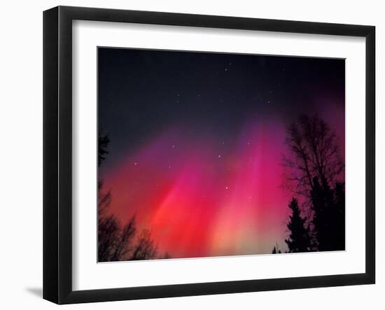 Curtains of Northern Lights above Fairbanks, Alaska, USA-Hugh Rose-Framed Photographic Print