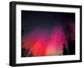 Curtains of Northern Lights above Fairbanks, Alaska, USA-Hugh Rose-Framed Photographic Print