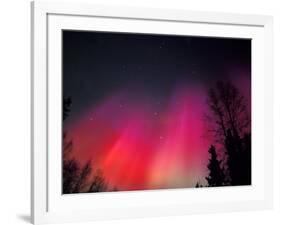 Curtains of Northern Lights above Fairbanks, Alaska, USA-Hugh Rose-Framed Photographic Print