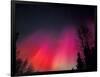 Curtains of Northern Lights above Fairbanks, Alaska, USA-Hugh Rose-Framed Photographic Print