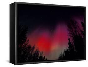 Curtains of Northern Lights above Fairbanks, Alaska, USA-Hugh Rose-Framed Stretched Canvas