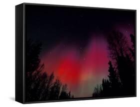 Curtains of Northern Lights above Fairbanks, Alaska, USA-Hugh Rose-Framed Stretched Canvas