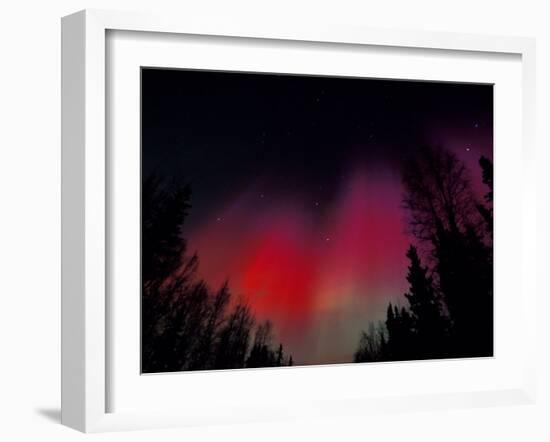 Curtains of Northern Lights above Fairbanks, Alaska, USA-Hugh Rose-Framed Premium Photographic Print
