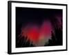 Curtains of Northern Lights above Fairbanks, Alaska, USA-Hugh Rose-Framed Photographic Print