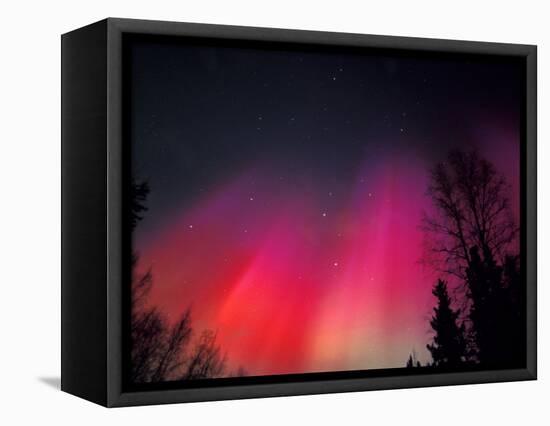 Curtains of Northern Lights above Fairbanks, Alaska, USA-Hugh Rose-Framed Stretched Canvas