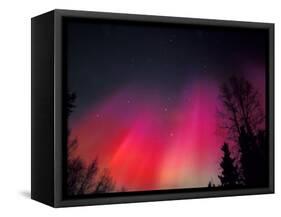 Curtains of Northern Lights above Fairbanks, Alaska, USA-Hugh Rose-Framed Stretched Canvas